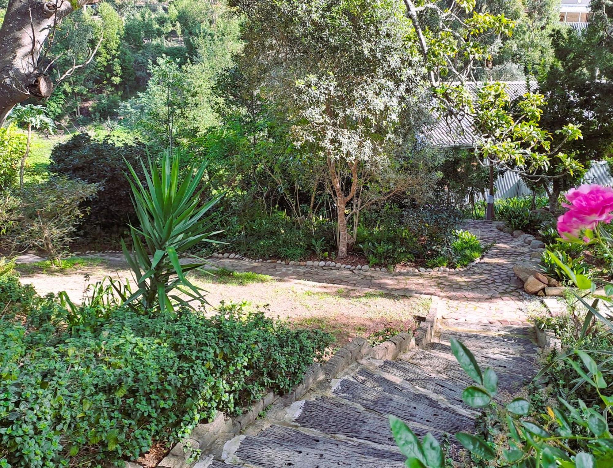 Badger'S Cottage นิสนา ภายนอก รูปภาพ